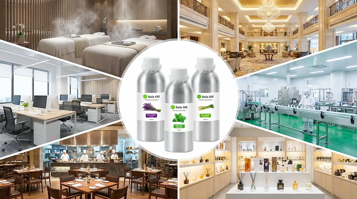 Ứng dụng tinh dầu thiên nhiên