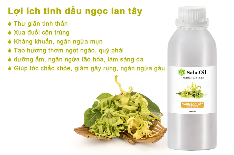 lợi ích tinh dầu ngọc lan tây