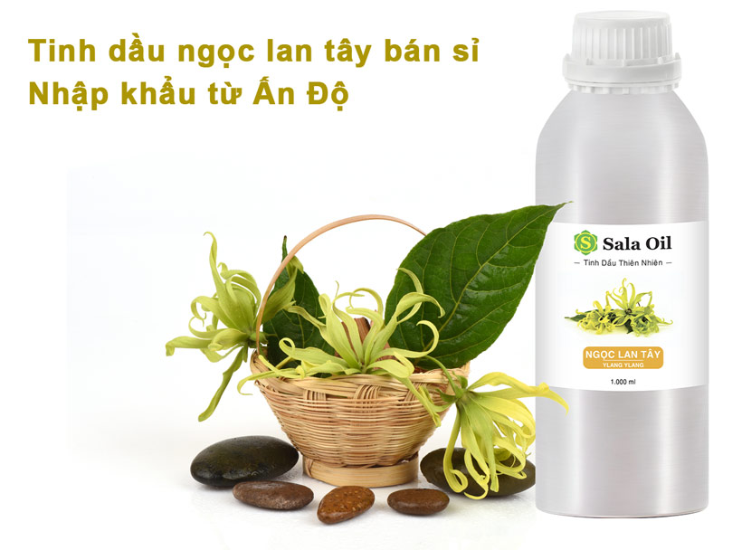 tinh dầu ngọc lan tây nhập khẩu bán sỉ
