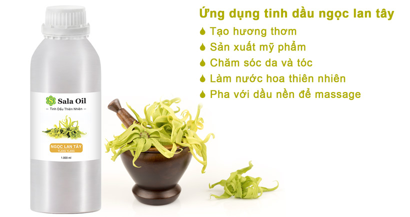 ứng dụng tinh dầu ngọc lan tây